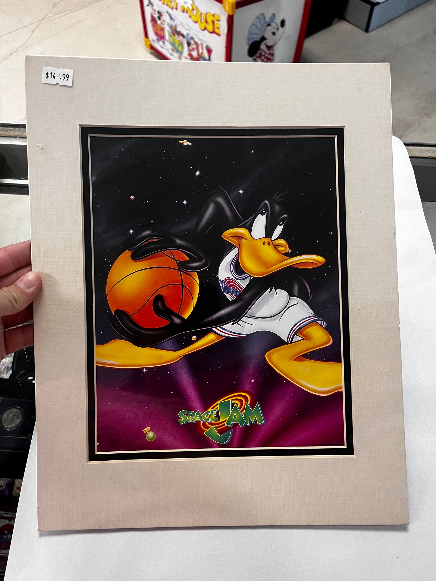 Vintage Space Jam 90s Daffy Duck Portait